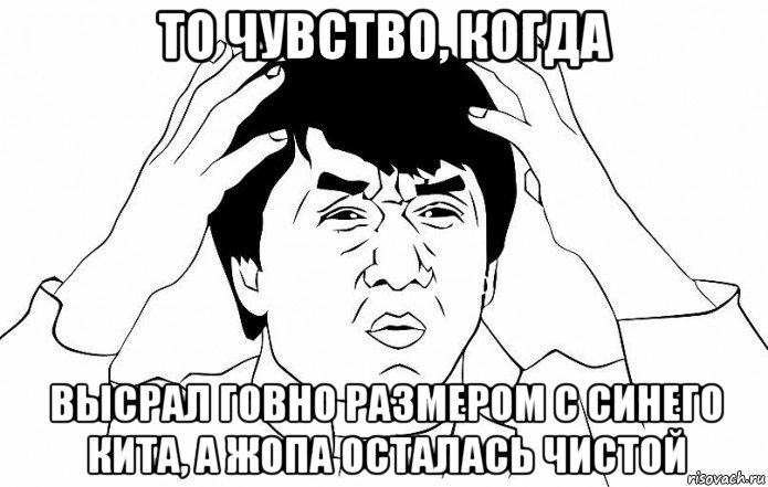 то чувство, когда высрал говно размером с синего кита, а жопа осталась чистой, Мем ДЖЕКИ ЧАН