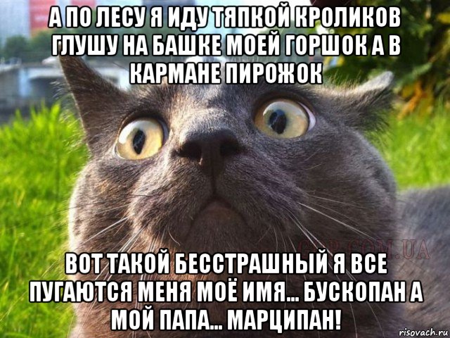 Башка пирожка. А В кармане пирожок вот такой бесстрашный я все пугаются меня. А по лесу я иду тяпкой кроликов. На башке моей горшок а в кармане пирожок. А по лесу я иду.