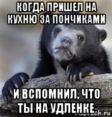 когда пришел на кухню за пончиками и вспомнил, что ты на удленке, Мем грустный медведь