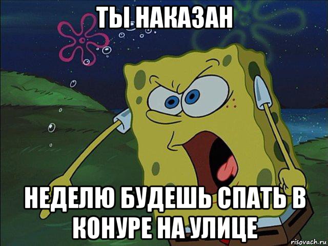 А ну иди сюда. Я девственник Мем Спанч Боб. Иди сюда ты говно Собачье. Спанч Боб Мем иди нахуй. Спанч Боб Мем лох.