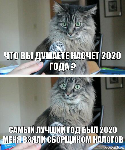 ЧТО ВЫ ДУМАЕТЕ НАСЧЕТ 2020 ГОДА ? Самый лучший год был 2020 меня взяли сборщиком налогов