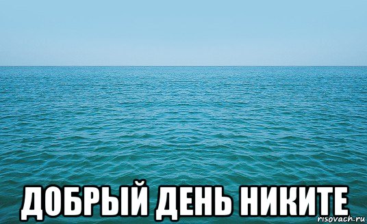  добрый день никите