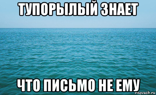 тупорылый знает что письмо не ему, Мем Море