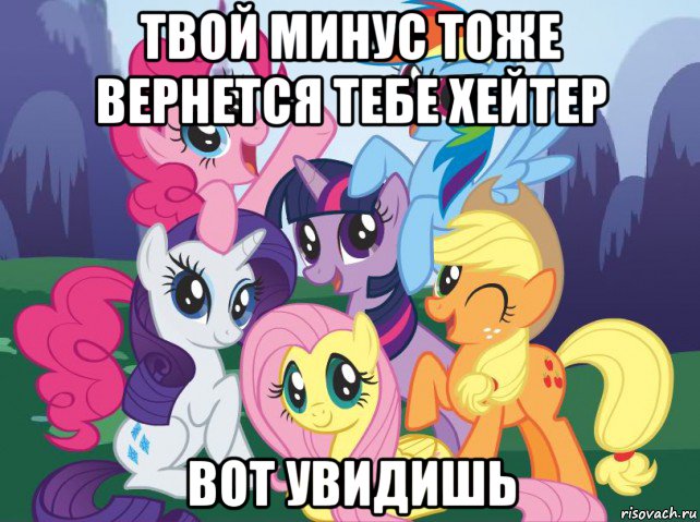 твой минус тоже вернется тебе хейтер вот увидишь, Мем My little pony