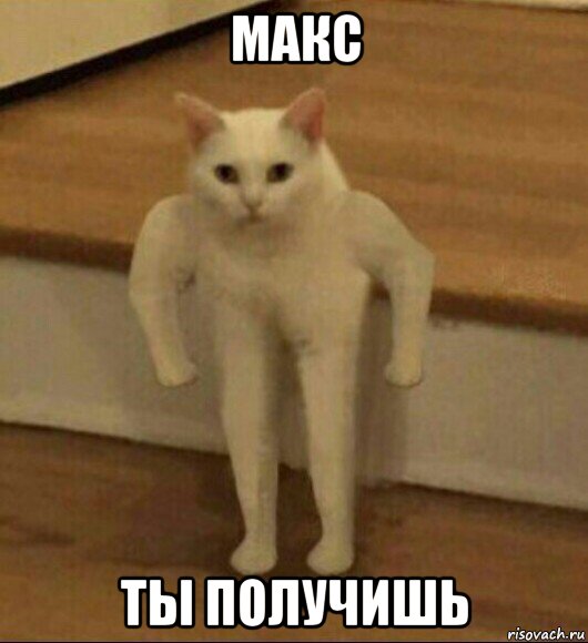 макс ты получишь, Мем  Полукот