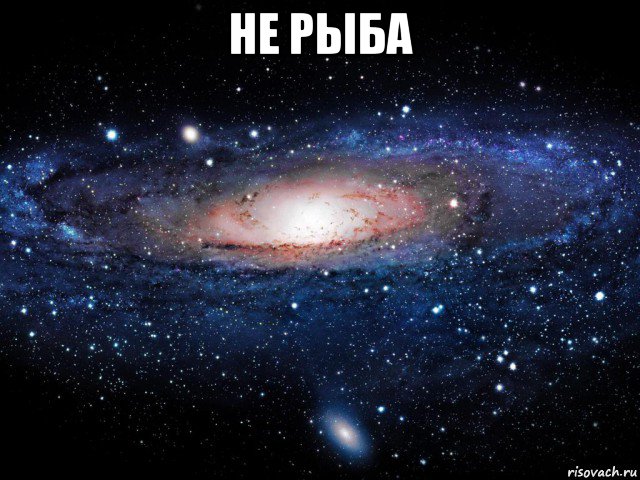 не рыба 