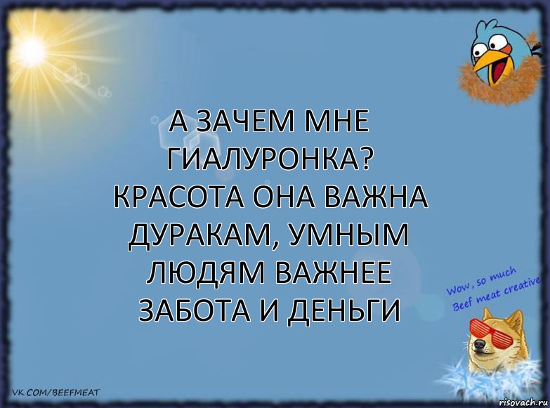 А зачем мне гиалуронка? Красота она важна дуракам, умным людям важнее забота и деньги, Комикс ФОН