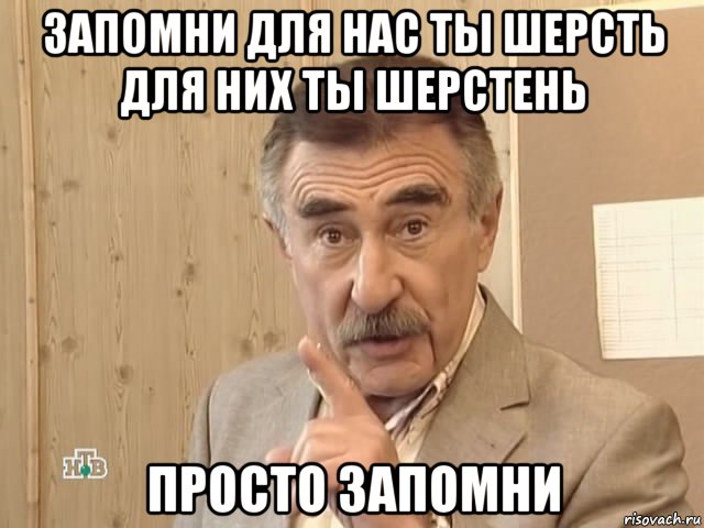 запомни для нас ты шерсть для них ты шерстень просто запомни, Мем Каневский (Но это уже совсем другая история)