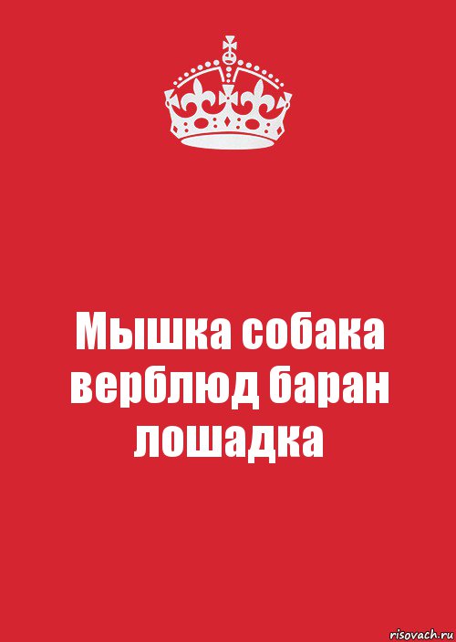 Мышка собака верблюд баран лошадка, Комикс Keep Calm 3