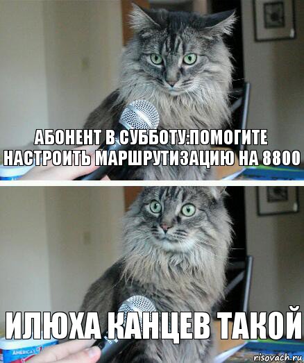 Абонент в субботу:помогите настроить маршрутизацию на 8800 Илюха канцев такой