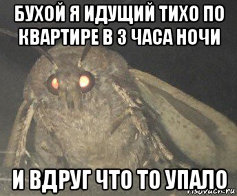 бухой я идущий тихо по квартире в 3 часа ночи и вдруг что то упало, Мем Матылёк