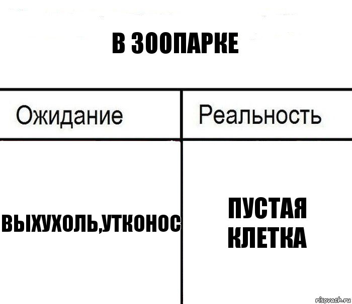 в зоопарке выхухоль,утконос пустая клетка, Комикс  Ожидание - реальность