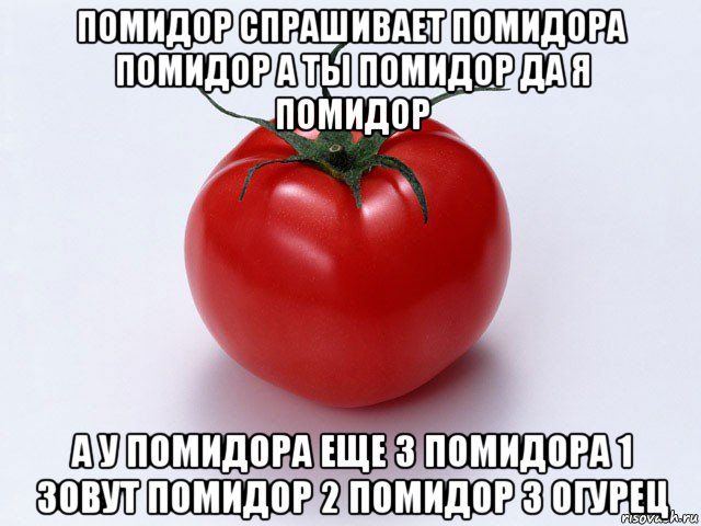 помидор спрашивает помидора помидор а ты помидор да я помидор а у помидора еще 3 помидора 1 зовут помидор 2 помидор 3 огурец, Мем помидор