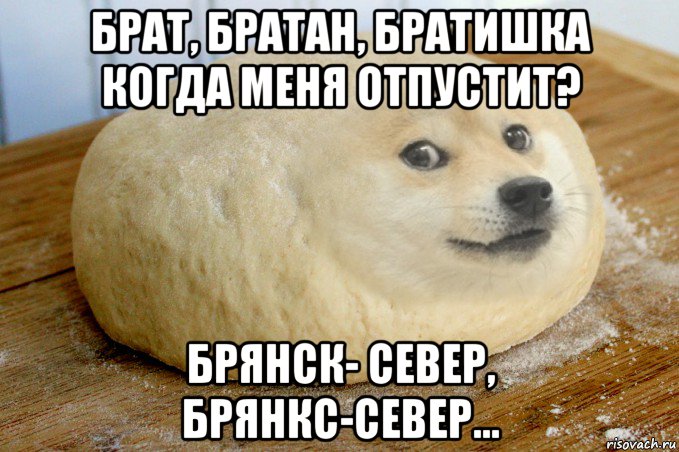 Выход один братан speed up