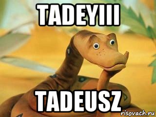 tadeyiii tadeusz