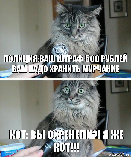 полиция:ваш штраф 500 рублей вам надо хранить мурчание кот: вы охренели?! Я же кот!!!, Комикс  кот с микрофоном