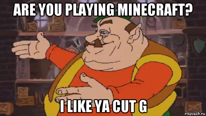 are you playing minecraft? i like ya cut g