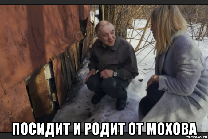  посидит и родит от мохова