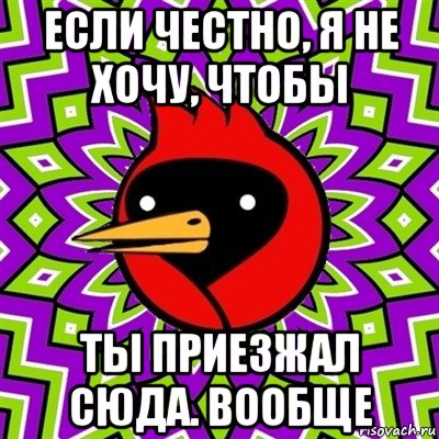 если честно, я не хочу, чтобы ты приезжал сюда. вообще, Мем Омская птица