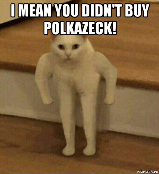i mean you didn't buy polkazeck! 