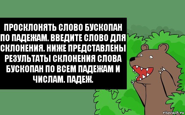 Ввожу слово. Медведь из кустов. Медведь из кустов Мем. Медведь кричит из кустов. ПРОСКЛОНИРОВАТЬ слово медведь.