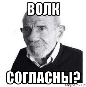 волк согласны?