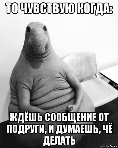 то чувствую когда: ждёшь сообщение от подруги, и думаешь, чё делать, Мем  Ждун