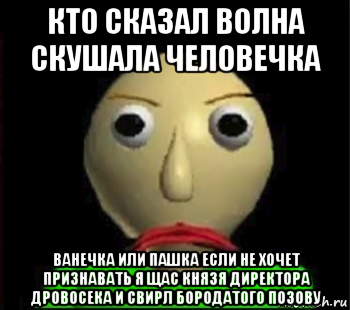 кто сказал волна скушала человечка ванечка или пашка если не хочет признавать я щас князя директора дровосека и свирл бородатого позову, Мем Злой Балди