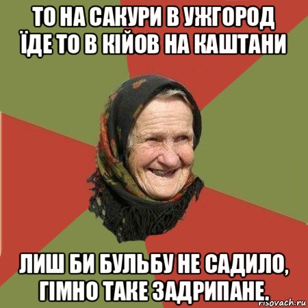 то на сакури в ужгород їде то в кійов на каштани лиш би бульбу не садило, гімно таке задрипане.