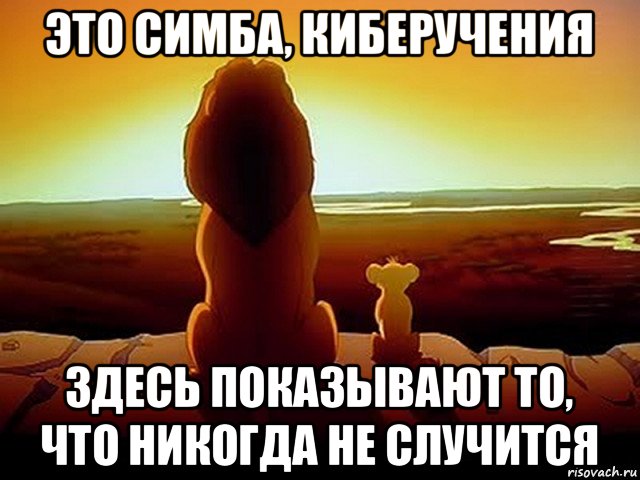 это симба, киберучения здесь показывают то, что никогда не случится, Мем  король лев