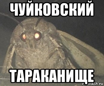 чуйковский тараканище, Мем Матылёк