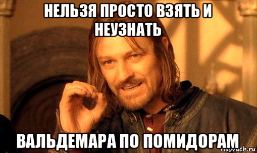 нельзя просто взять и неузнать вальдемара по помидорам, Мем Нельзя просто так взять и (Боромир мем)