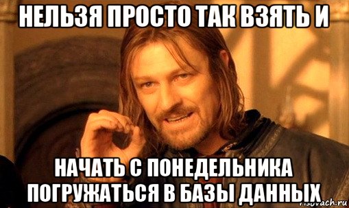 нельзя просто так взять и начать с понедельника погружаться в базы данных, Мем Нельзя просто так взять и (Боромир мем)