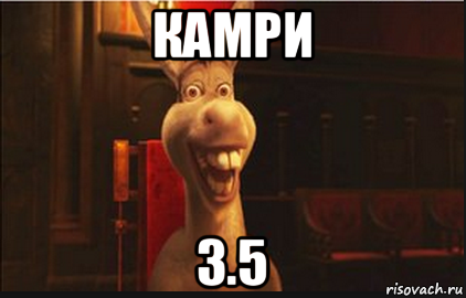 камри 3.5, Мем Осел из Шрека