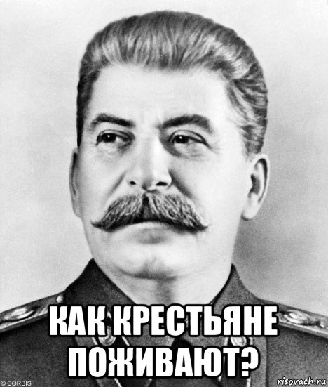  как крестьяне поживают?, Мем  Иосиф Виссарионович Сталин