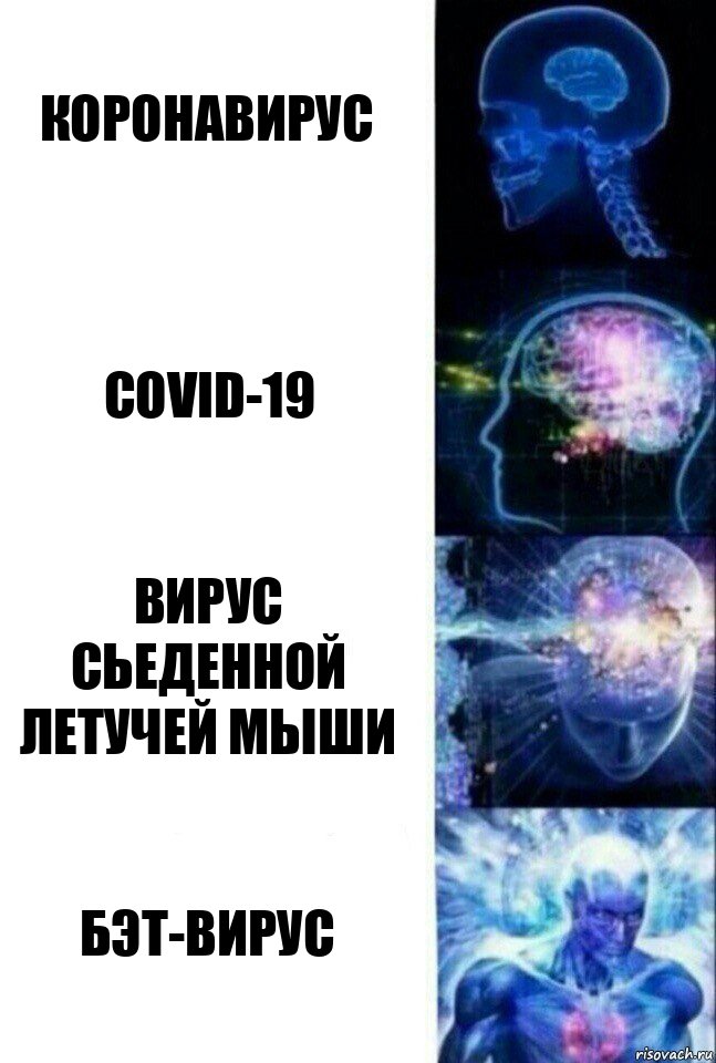 Коронавирус Сovid-19 Вирус сьеденной летучей мыши Бэт-вирус