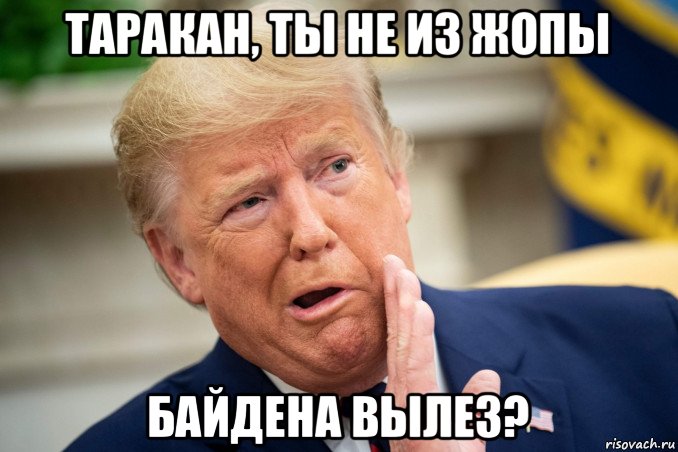 таракан, ты не из жопы байдена вылез?, Мем Трамп