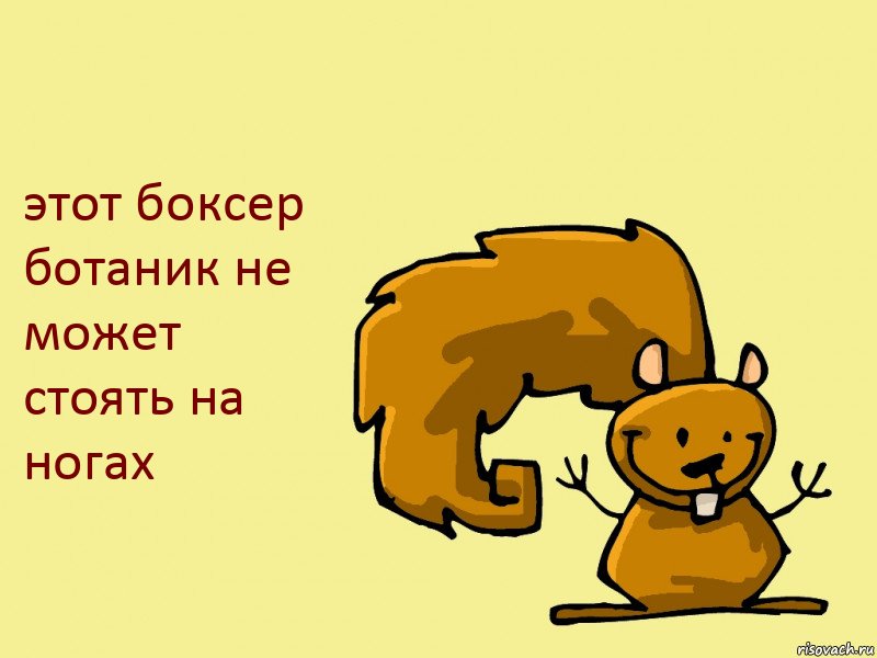 этот боксер ботаник не может стоять на ногах, Комикс  белка