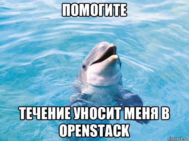 помогите течение уносит меня в openstack, Мем Дельфин