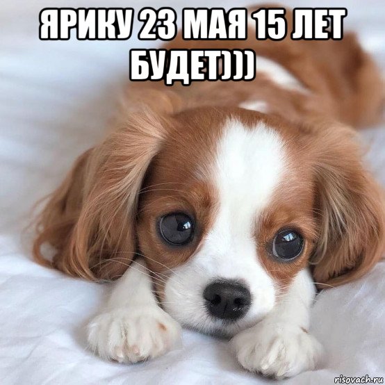 ярику 23 мая 15 лет будет))) 
