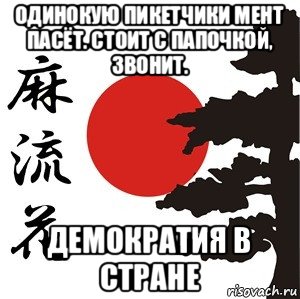 одинокую пикетчики мент пасёт. стоит с папочкой, звонит. демократия в стране, Мем Хокку