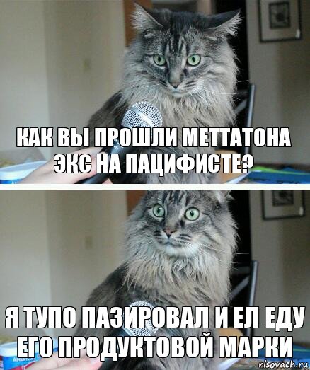 Как вы прошли Меттатона экс на Пацифисте? Я тупо пазировал и ел еду его продуктовой марки, Комикс  кот с микрофоном