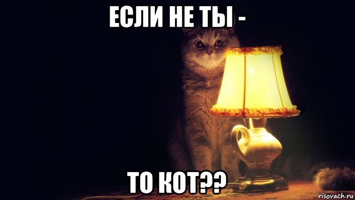 если не ты - то кот??