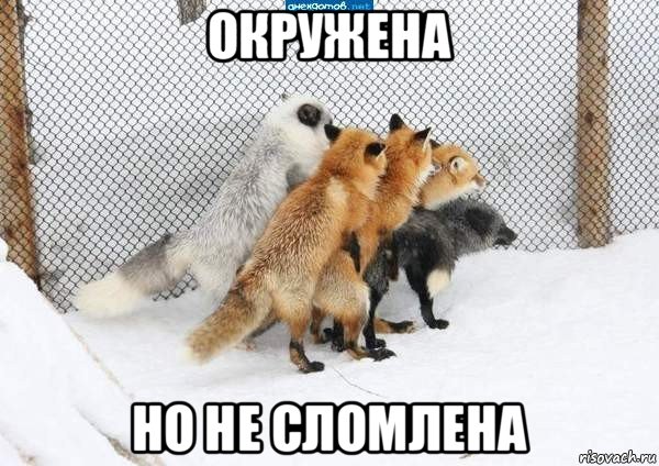 окружена но не сломлена