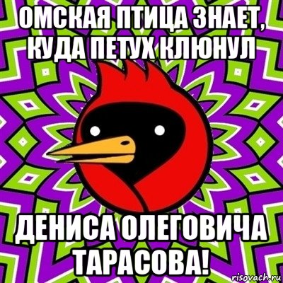 омская птица знает, куда петух клюнул дениса олеговича тарасова!, Мем Омская птица