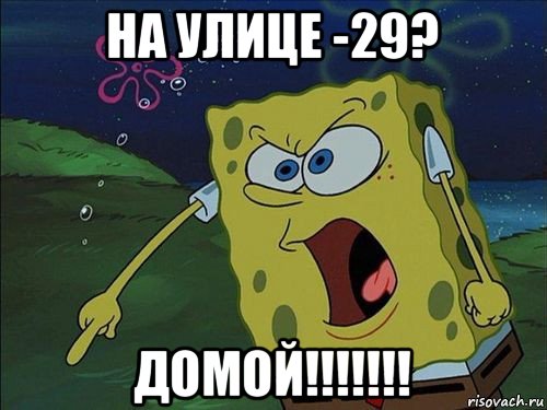 на улице -29? домой!!!!!!!