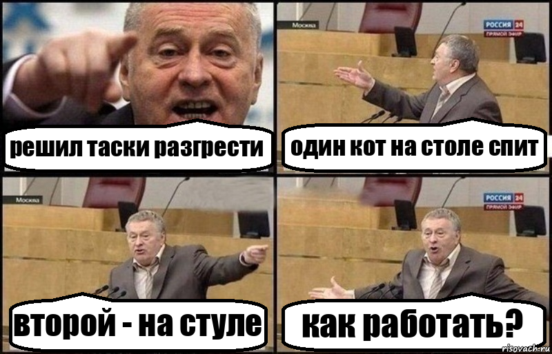 решил таски разгрести один кот на столе спит второй - на стуле как работать?