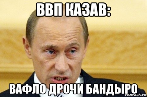 ввп казав: вафло дрочи бандыро, Мем путин